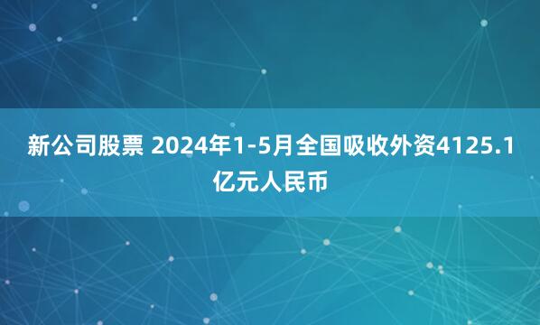 新公司股票 2024年1-5月全国吸收外资4125.1亿元人民币
