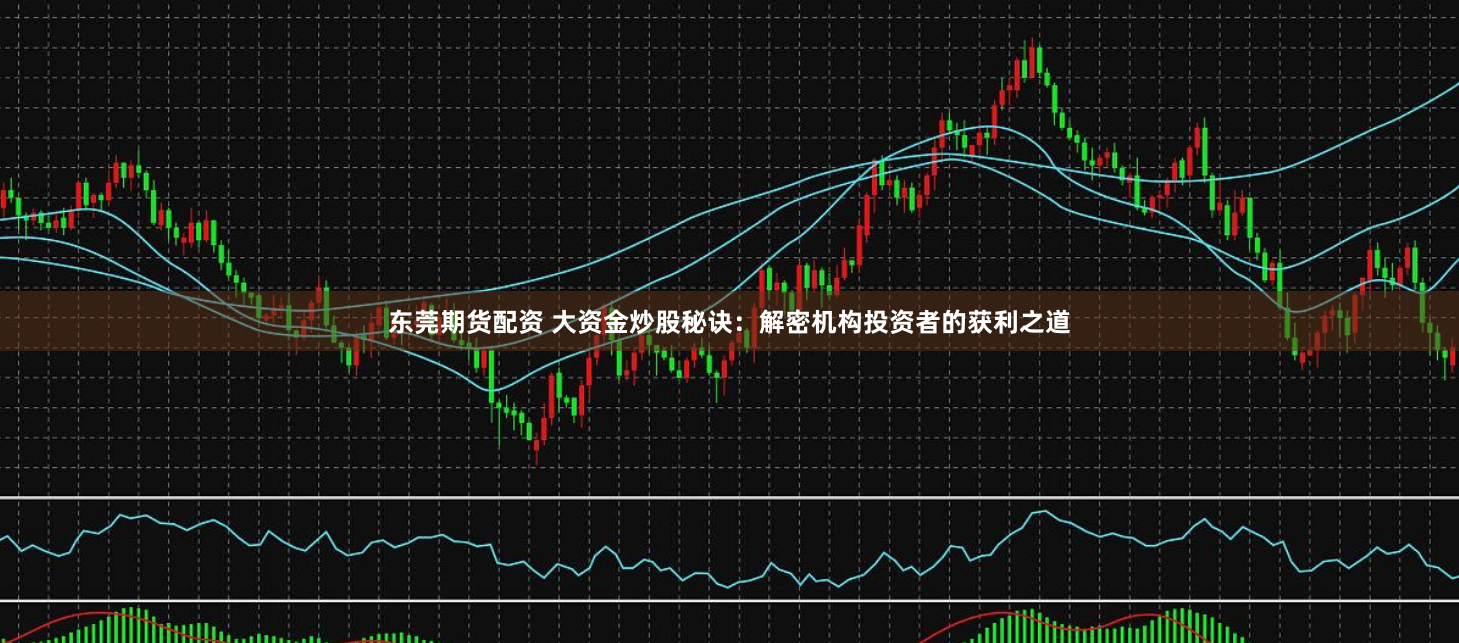 东莞期货配资 大资金炒股秘诀：解密机构投资者的获利之道